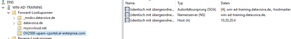 windows-dns-upam-portal.png